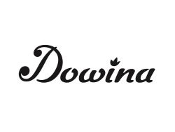 DOWINA LOGO