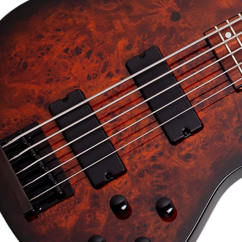 SCHECTER C-5 STANDARD TOBACCO BURL