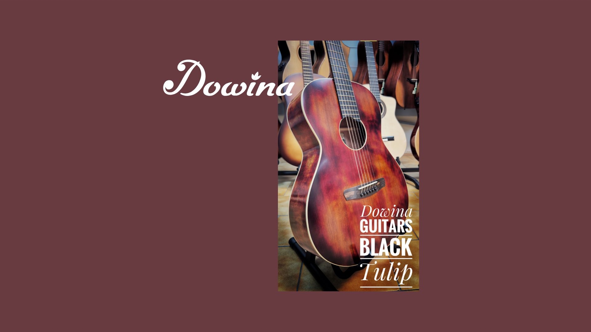 BANNER SITO DOWINA