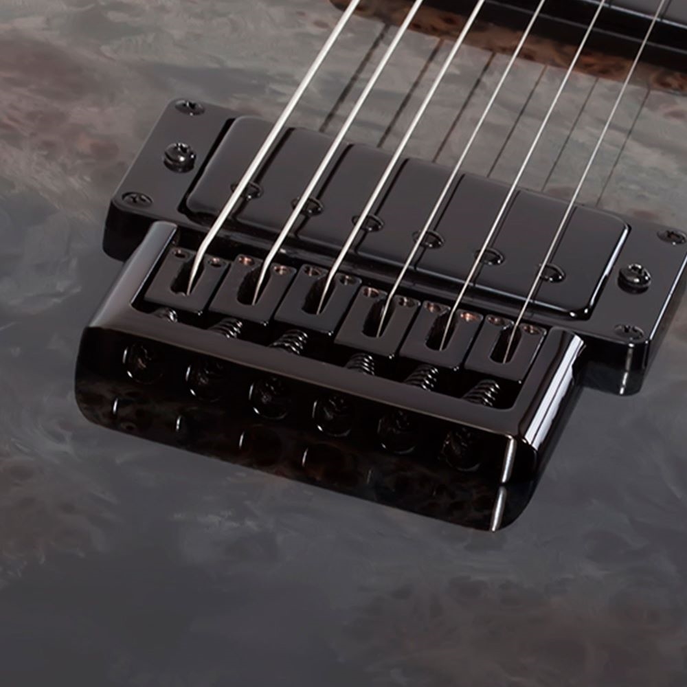 SCHECTER PT STANDARD BLACK FADE BURST