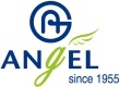 ANGEL LOGO