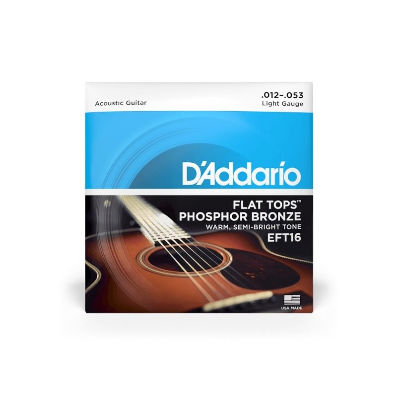 D'ADDARIO EFT 16 SEMI-FLAT LIGHT 012-053
